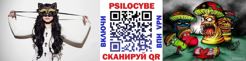 Галлюциногенные грибы Psilocybe  Балаково 