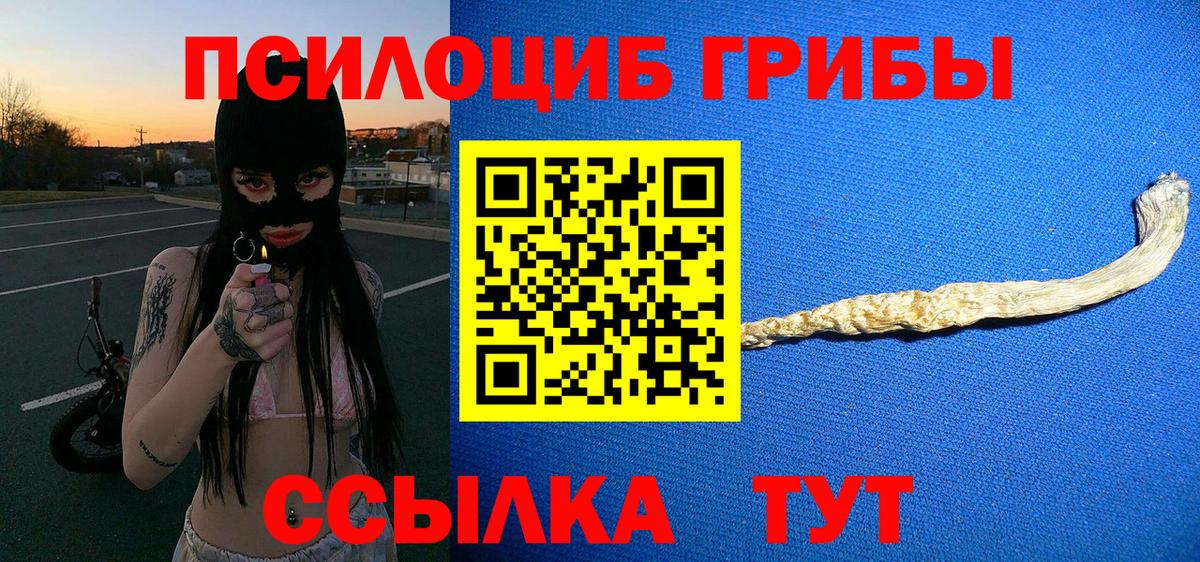 Галлюциногенные грибы ЛСД  Галлюциногенные грибы Cubensis  купить наркотики цена  Вход с VPN  Балаково 